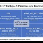 Reportase Webinar Seri 9: Kebijakan Riset untuk Diabetes Melitus